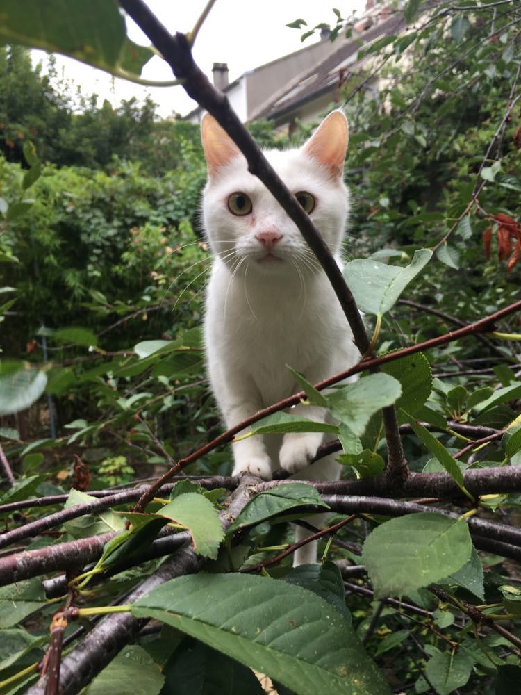 299897116_611769410300101_8727147432771440958_n