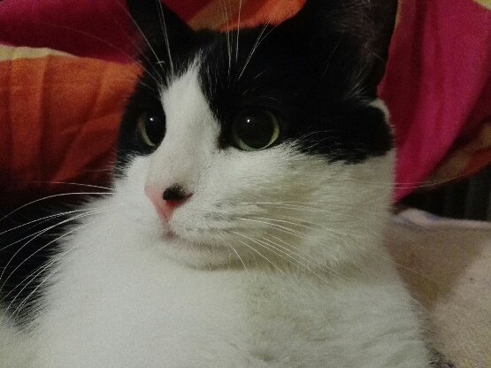 300010421_1785542201782374_1716157673534188056_n