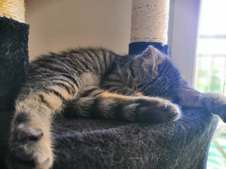 300059995_1219269865594459_5074479315825076636_n