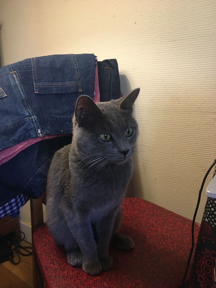 300138282_1100494494175293_5500738569064019602_n