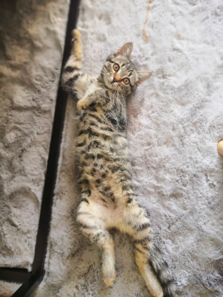 300157239_1458179644654824_7421501121782669093_n