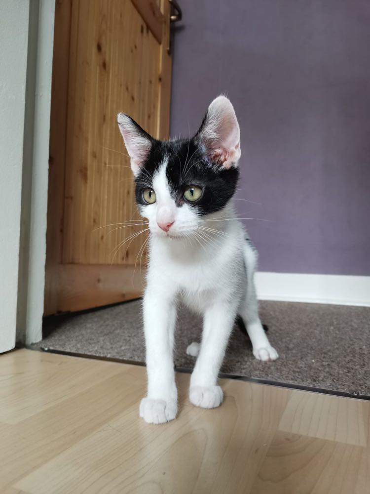 300267849_2355631554636981_1649813241651508478_n-1