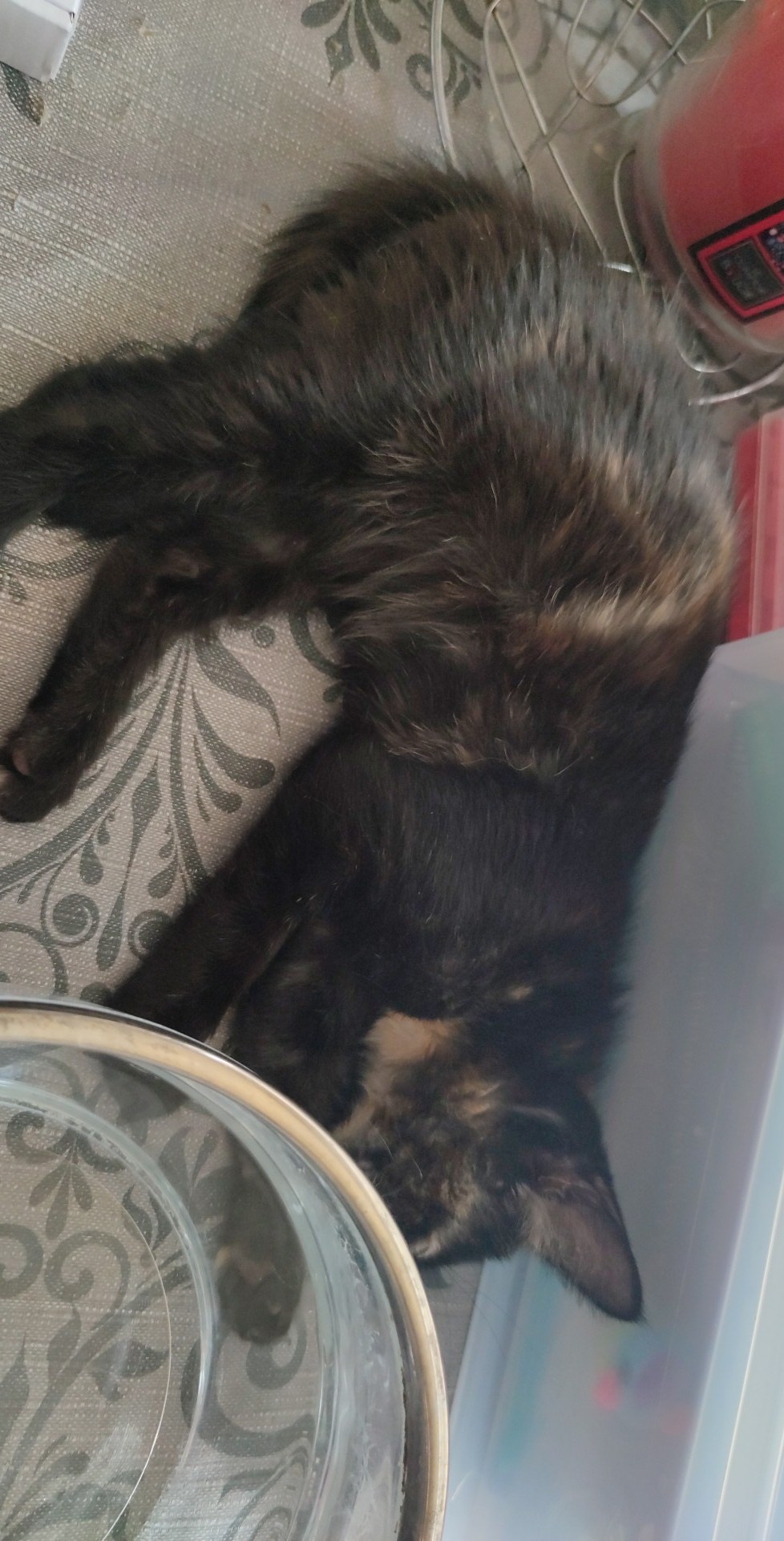 300273415_2384258845058395_6778530708697062156_n-1