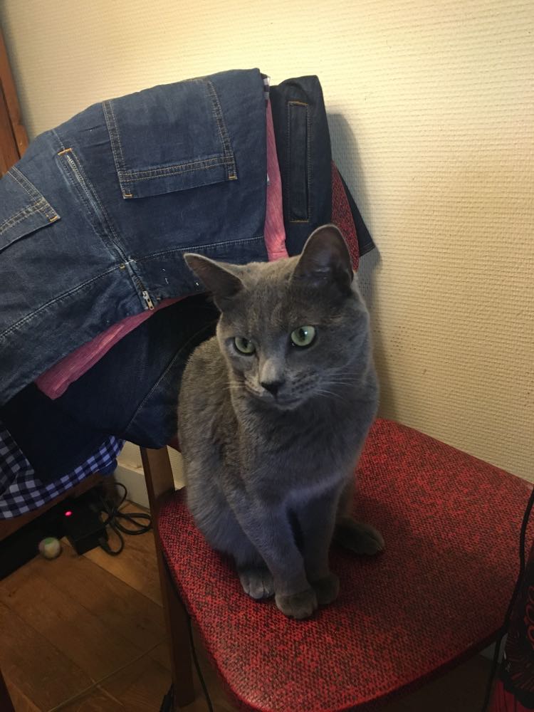 300295761_451129930376626_1844879105949209177_n