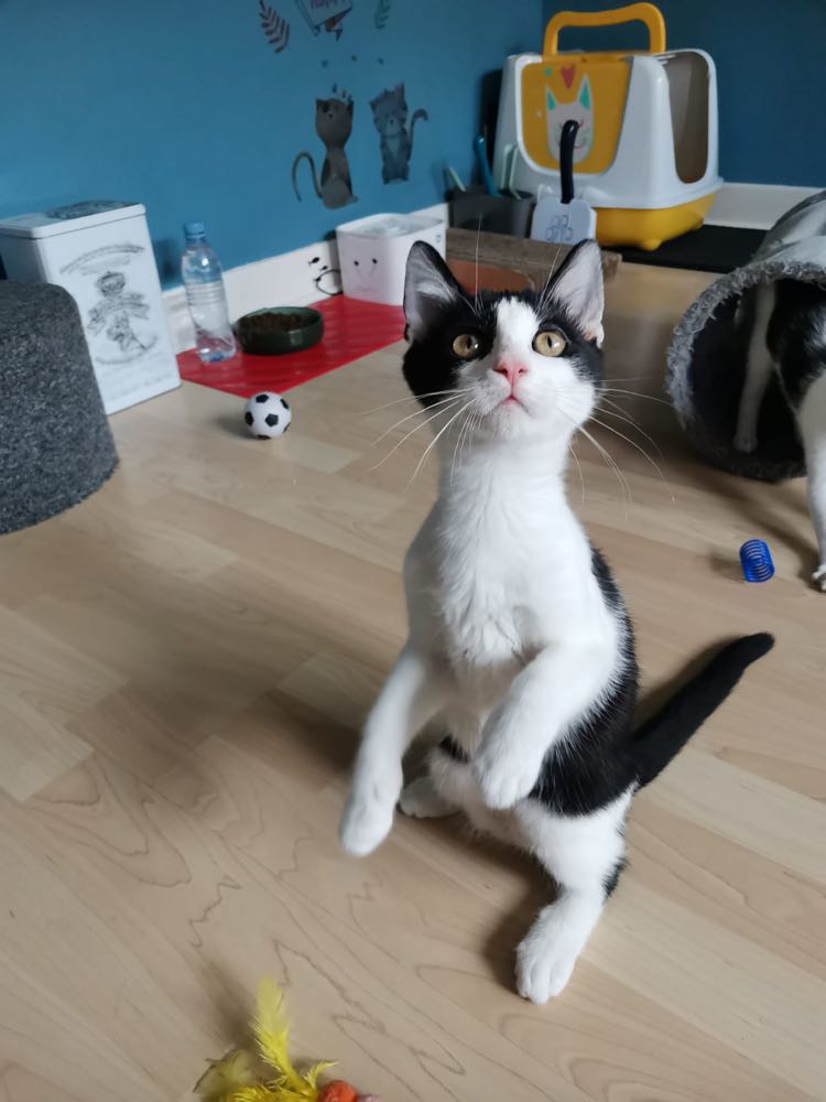 300428038_810349703289626_278372644972104257_n