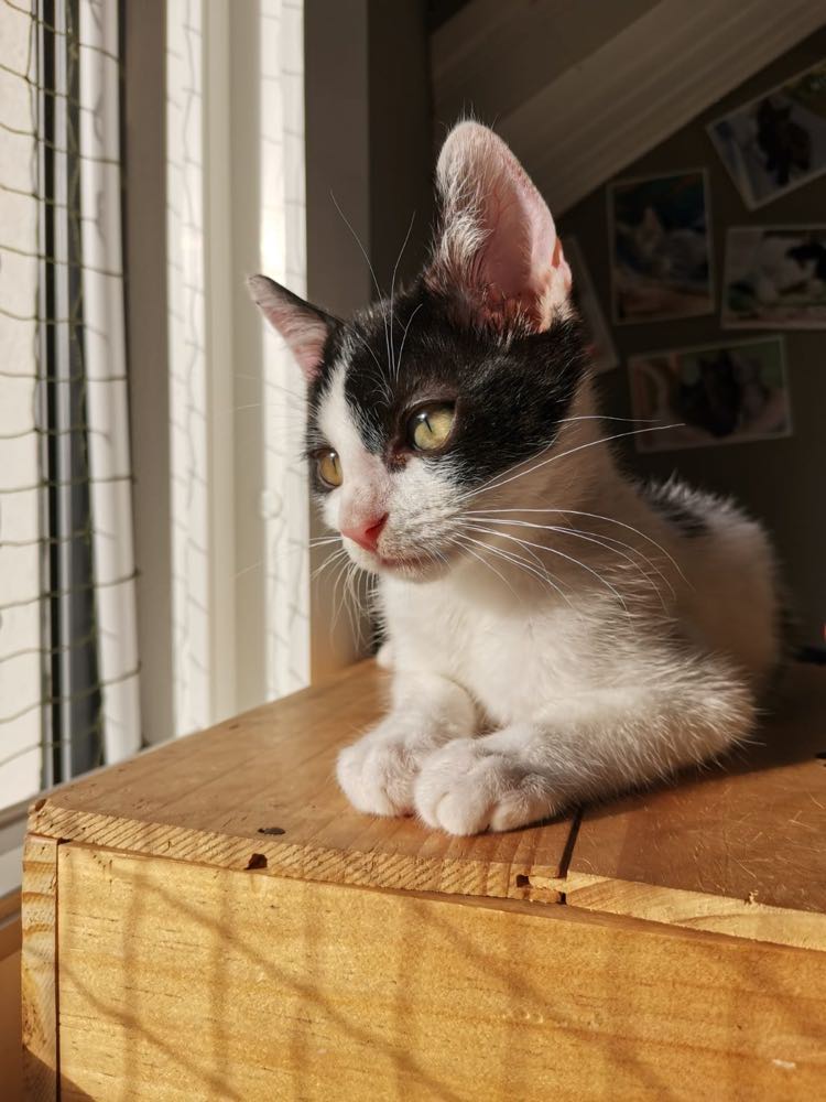 300463616_770074187747641_5491408619056532703_n