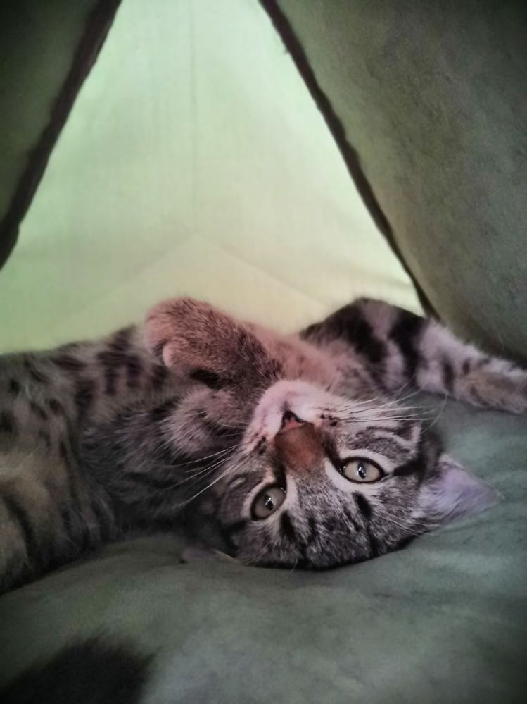 300527623_480378273489578_4335091068557249913_n