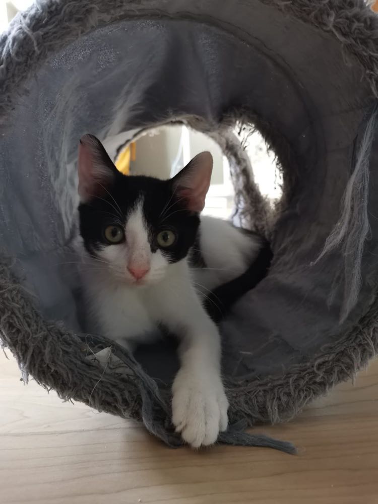 300610920_1734321573606467_3506143456484802190_n-1-2