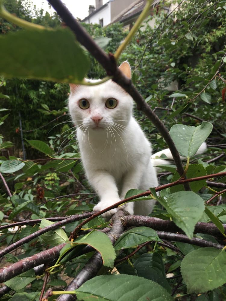 300678080_744868176618682_6558122443766086535_n-1