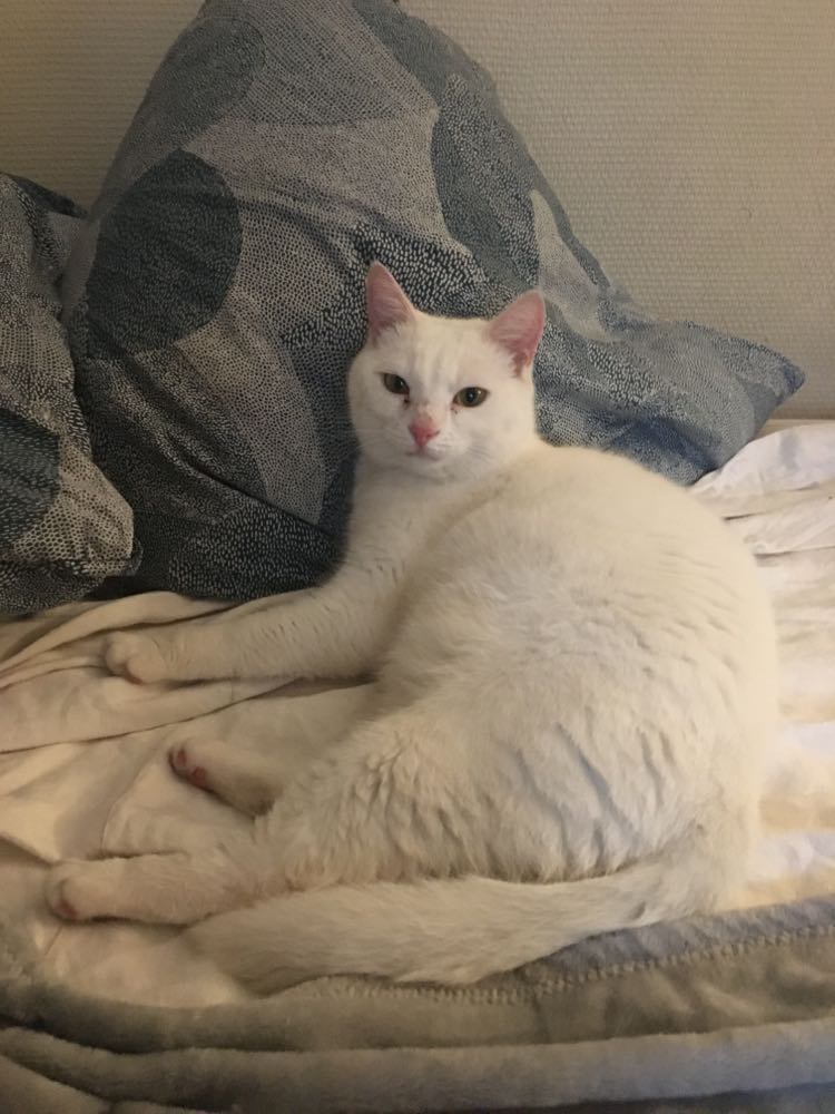 300701771_394977059416141_9074063361641889156_n