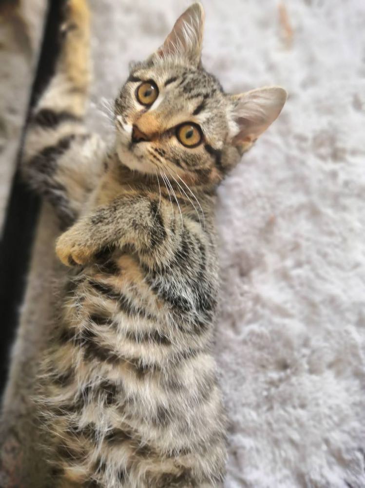 300762096_486205433275572_7051872727471946762_n