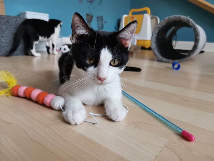 300961780_5410540745680133_2177628739134990632_n