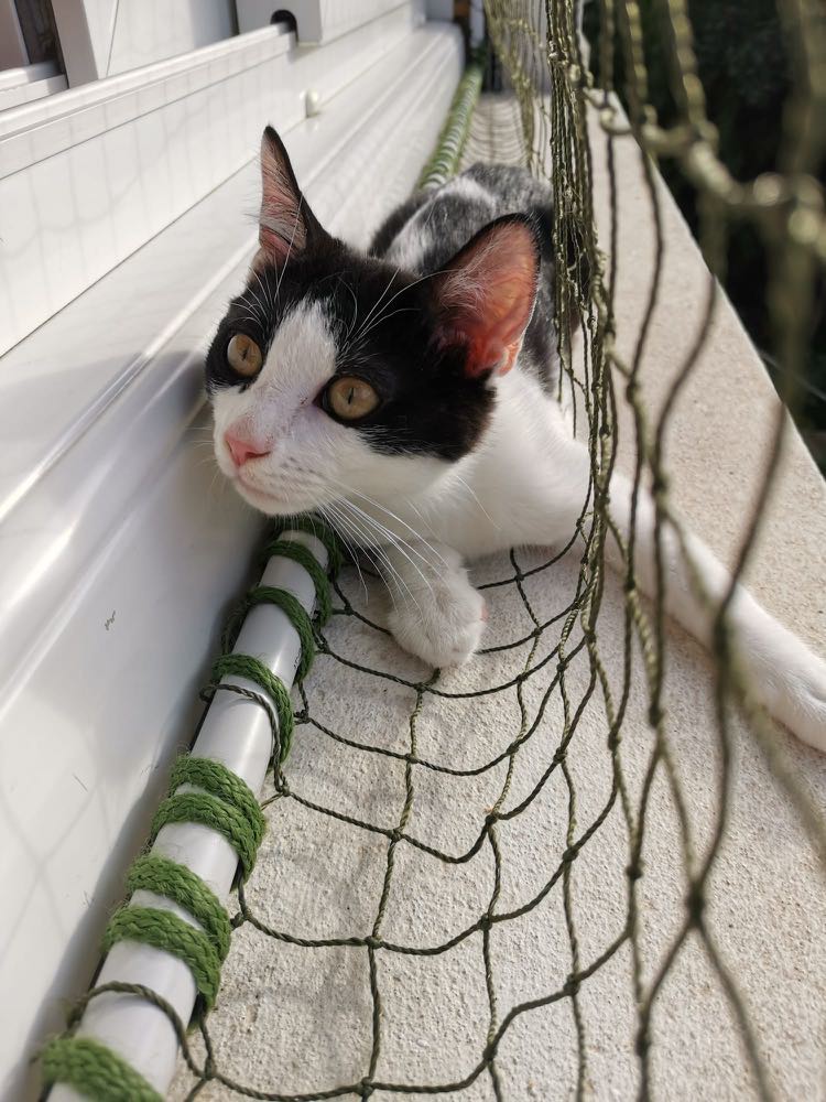 301216024_598833708560865_327134616217960091_n-1