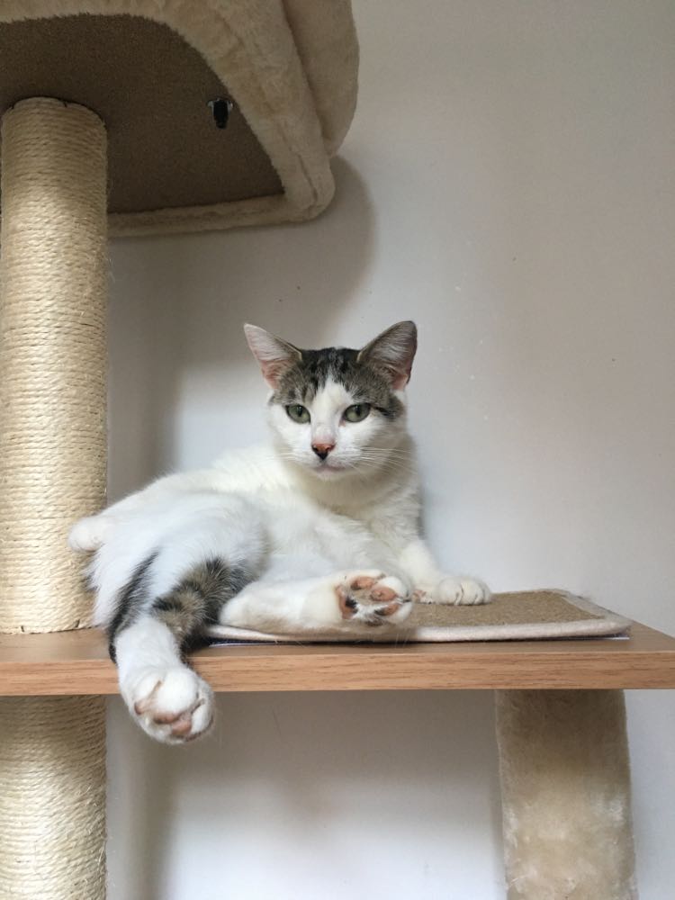 301480772_919619446094366_7988841932787964851_n