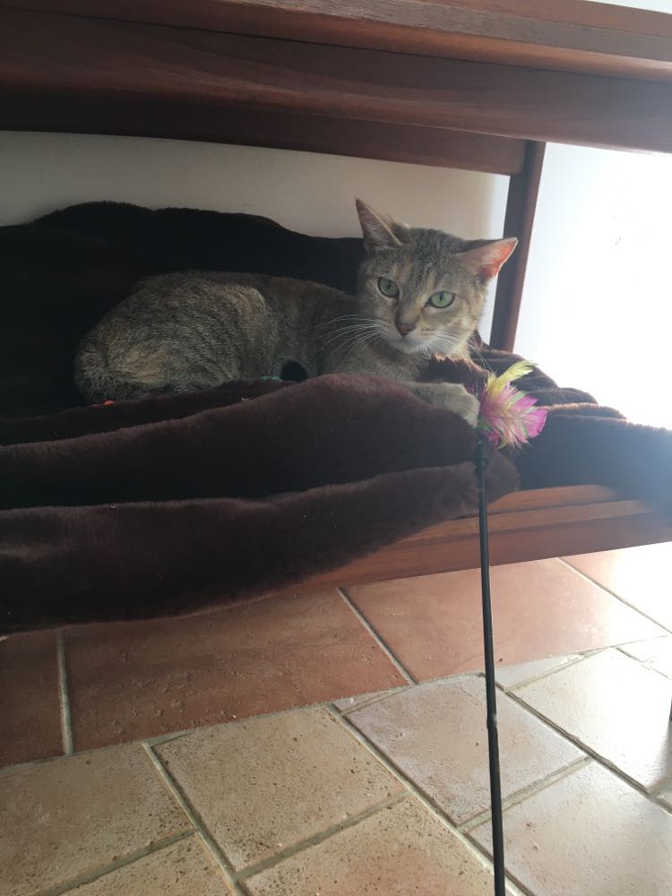 301547999_638793644205222_6345334677218071771_n