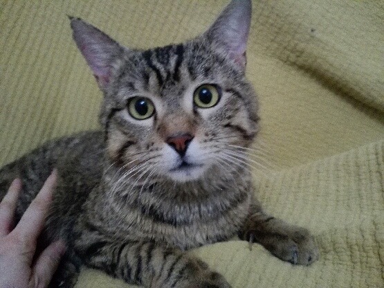 301665625_811960103492838_3583204667583142778_n