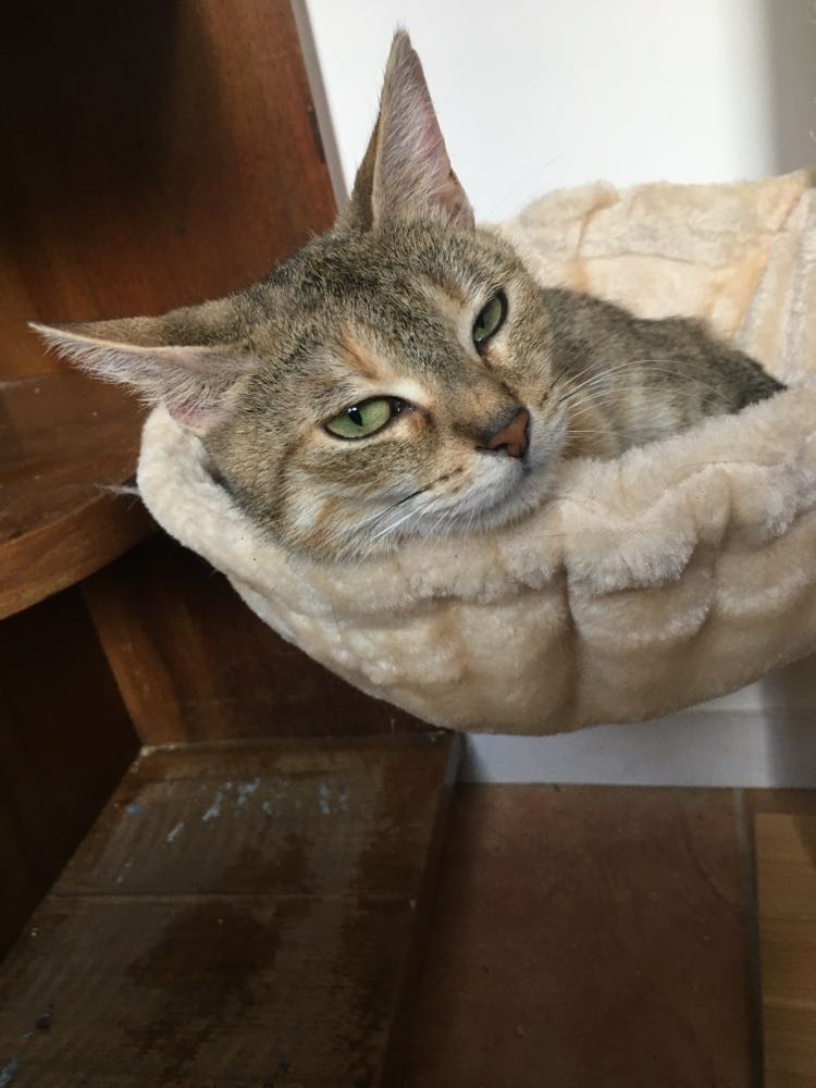 301692059_959077555491045_7098036644011446650_n