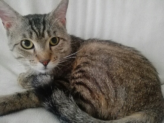 301887067_530422242191933_1165737934587040966_n