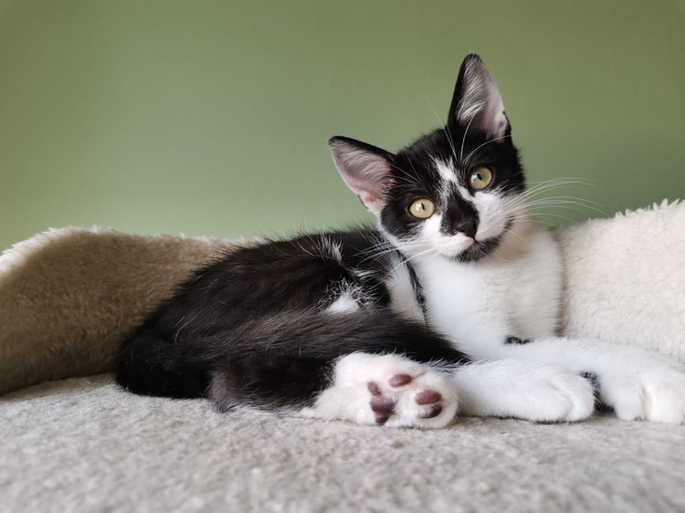 301897903_740634247236383_7984497487416788976_n