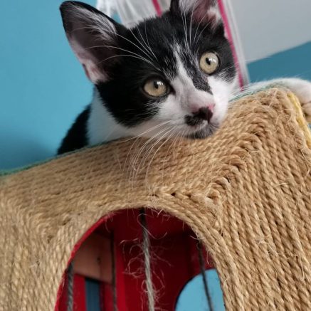 Photo de Marguerite et Fernandel