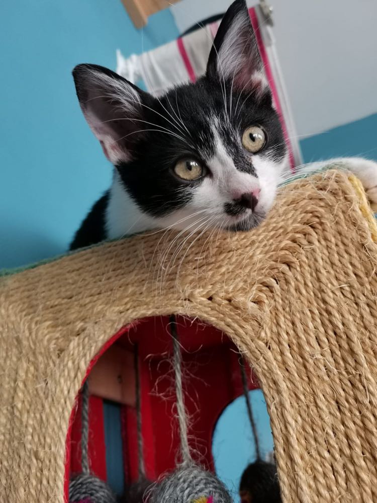 301915787_3307710862807339_1886169061105260276_n