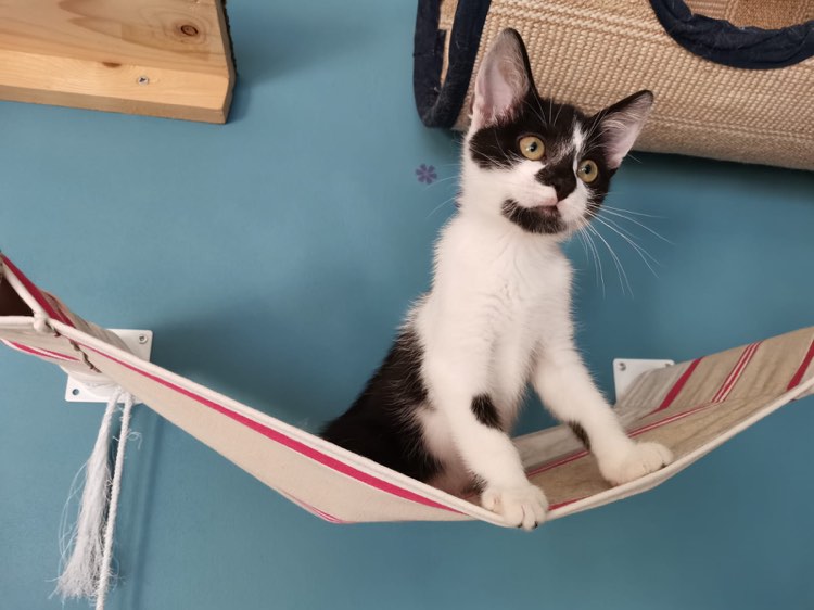 302008563_621941549549482_4598001232669497290_n