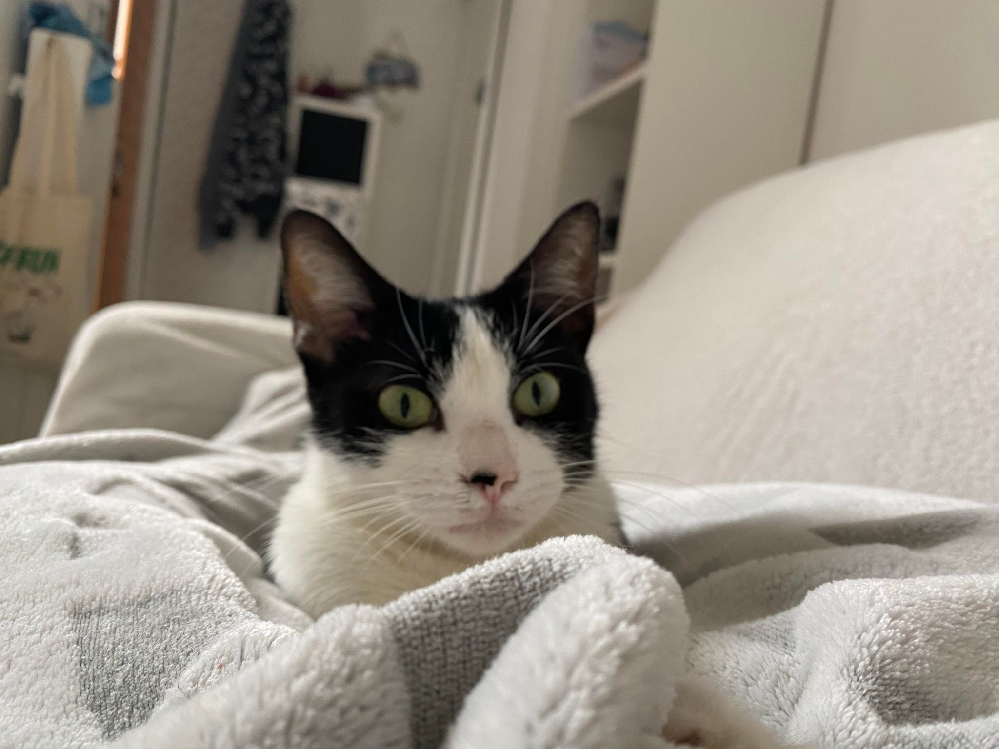 302011501_3286843611527688_3285214639423620638_n