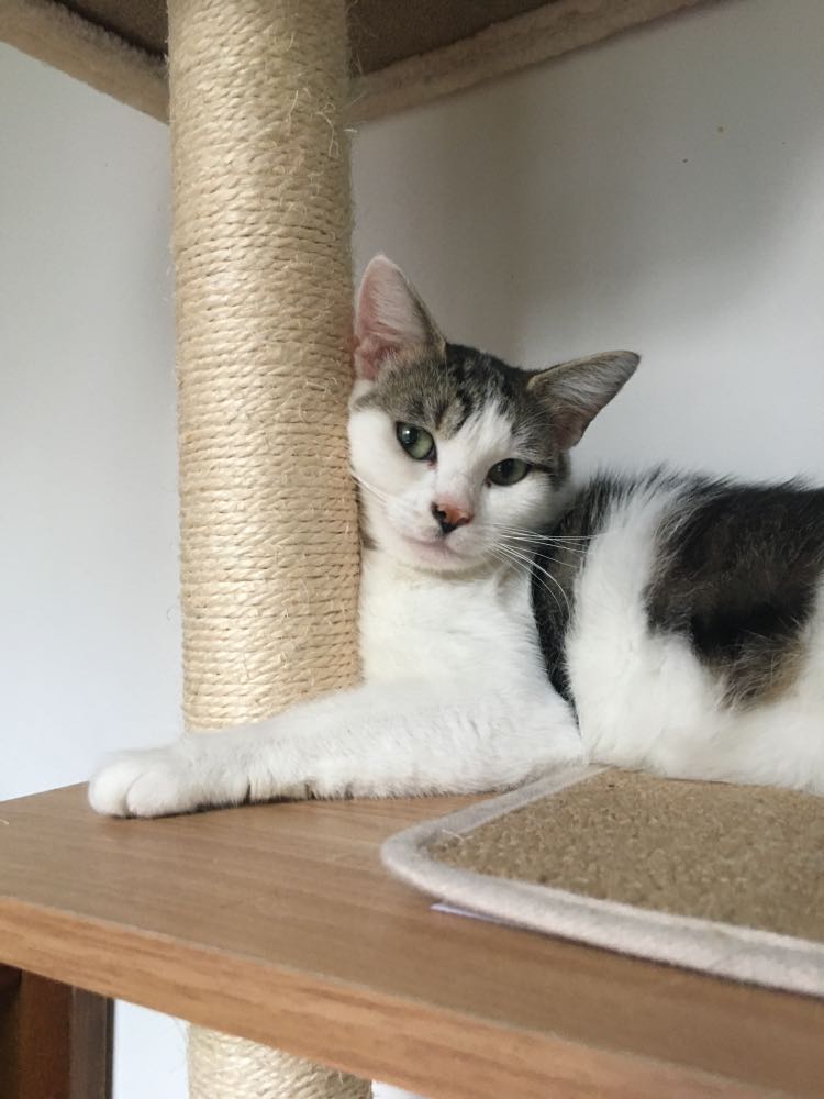 302067964_598920115060199_8381090950442722566_n