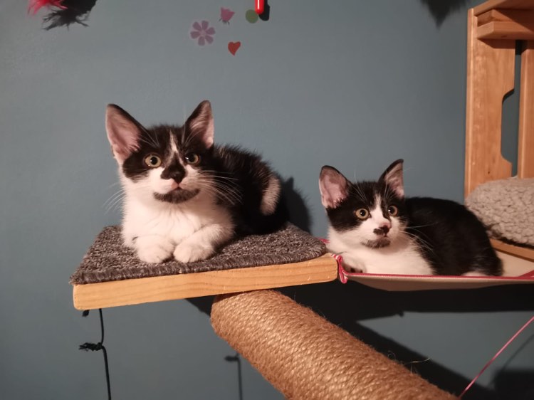 302149638_1209487716436555_3682513935487507916_n