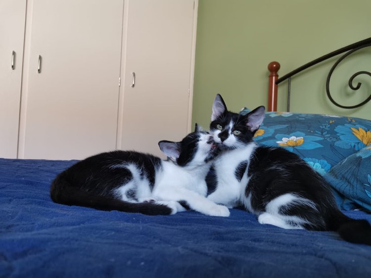 302234573_387441673376144_3270541650113873435_n