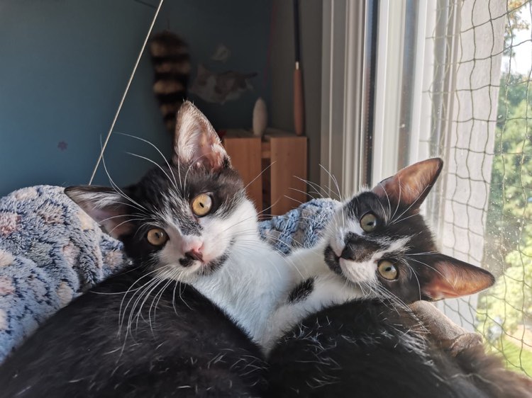 302242903_1731971067163188_1171797051411402382_n