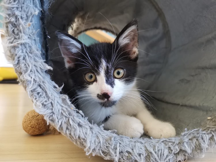 302273632_1431525190679222_7523194668648568551_n