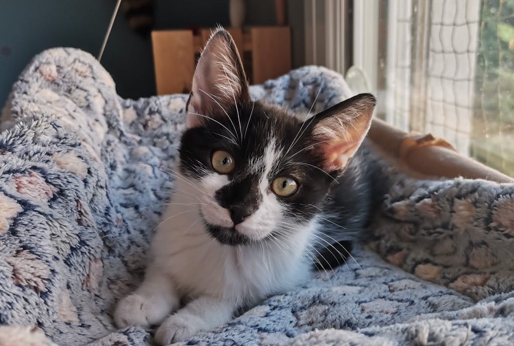 302303243_1241017323125028_677140983472187369_n