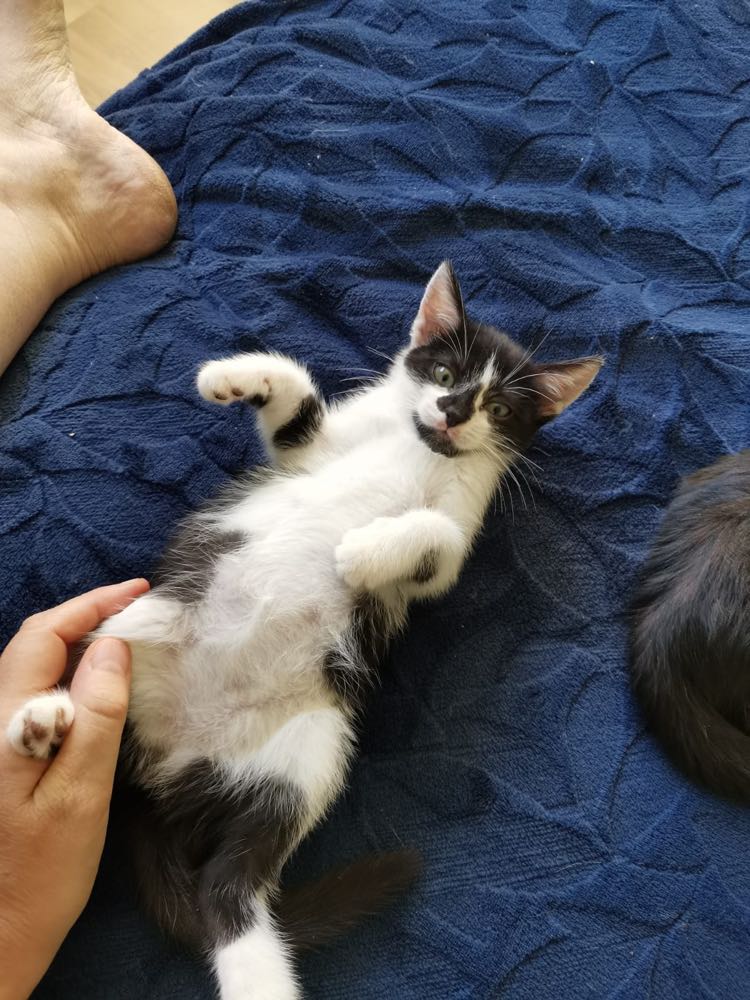 302425140_5063486317090343_5851977888376279079_n