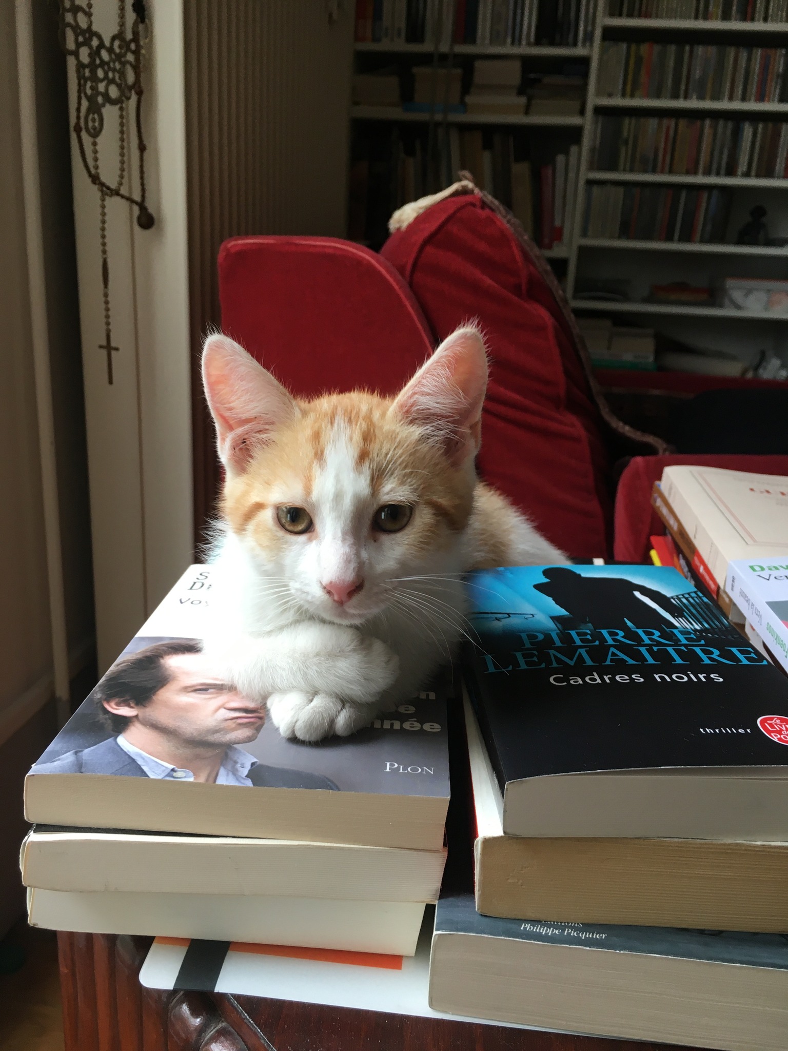 304739639_10160041396737808_2891043752954702001_n