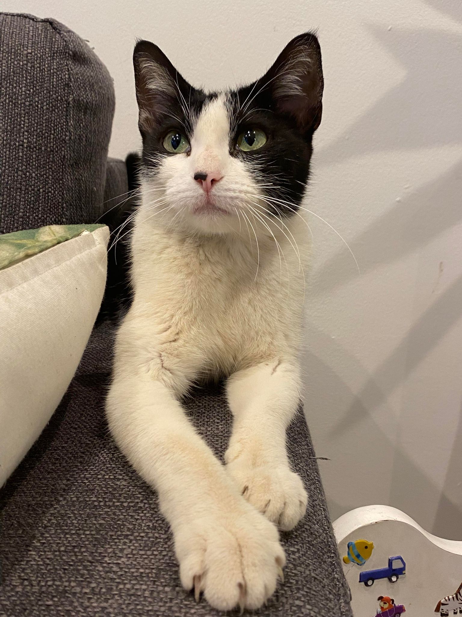 305043507_497743088790703_4653310131788865917_n