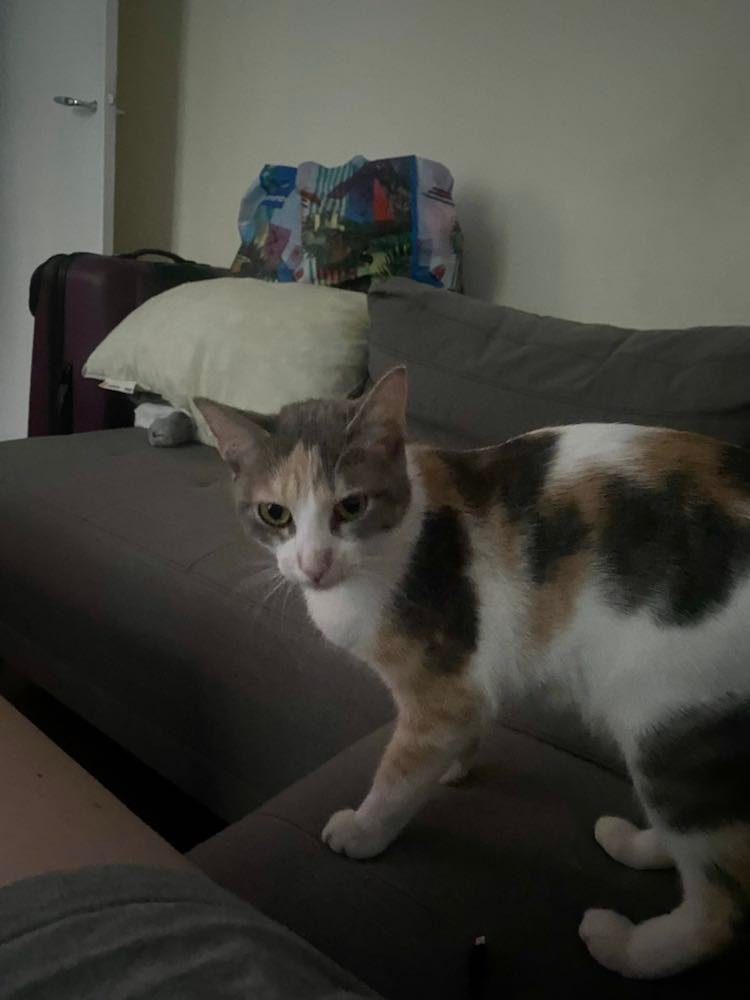 305119634_5844198208923974_2933072227912906338_n