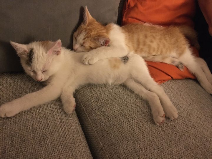 305160285_10160033400732808_6218052742075294106_n