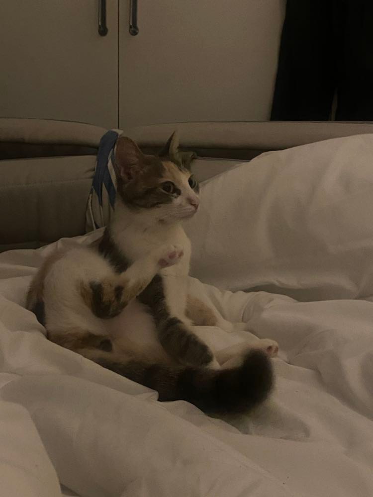 305179512_457024913026710_3907767519612754562_n