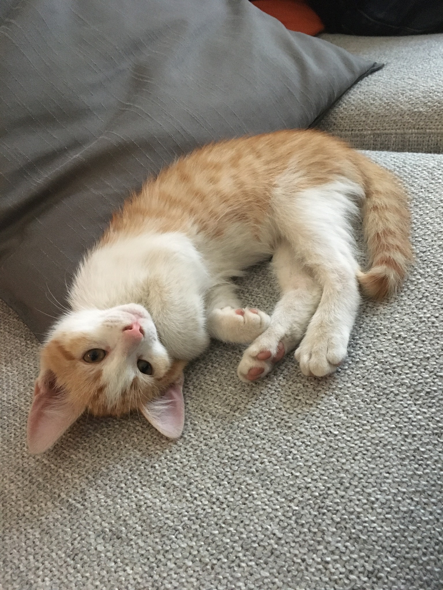 305183464_10160033128782808_6425784937543014846_n