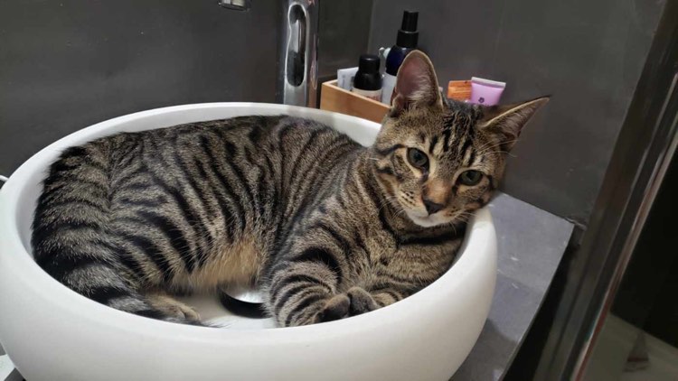 305245618_617722816592932_4594553919119137807_n