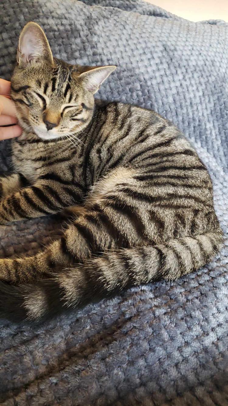 305353878_798002621234114_4229735423181012097_n