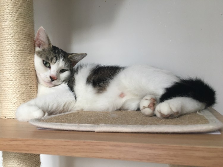 305465025_408824884698377_7583153673813247609_n