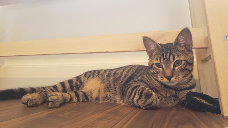 305482803_385216566962175_3525439621667750299_n