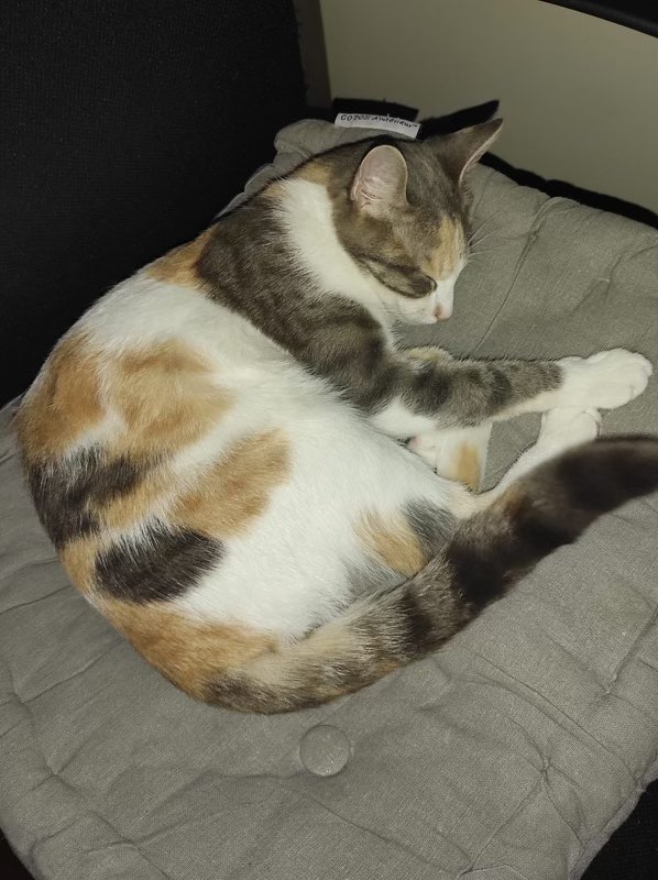 305606899_1315775912288555_6881361087898389517_n