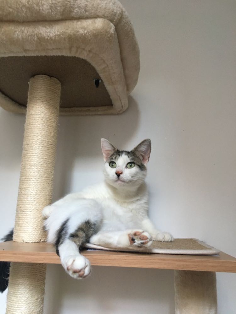 305615884_441645434606180_9010638031018778854_n