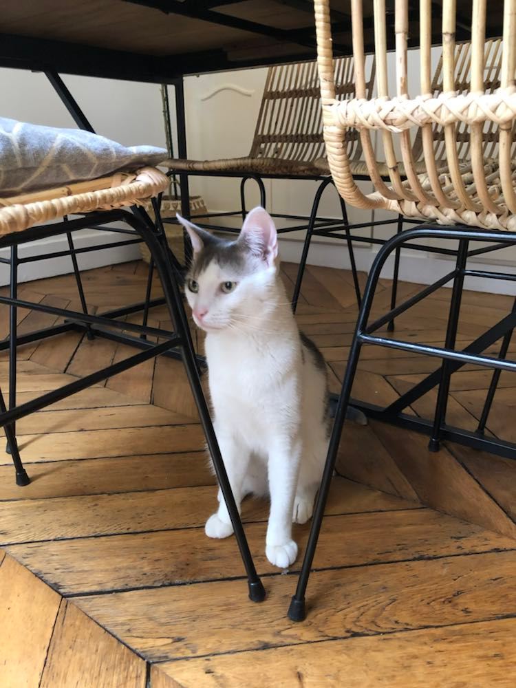 305822644_452345800174753_2582813953265085346_n