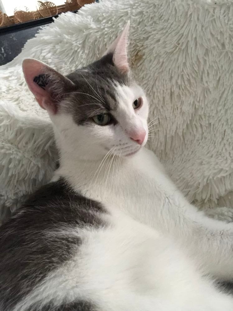 305880934_2291097454401247_4246552374708133676_n