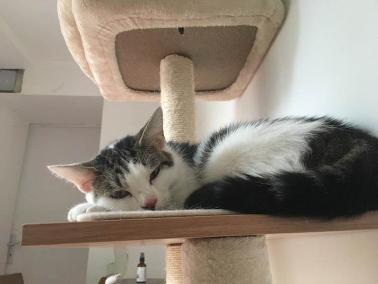 305936973_622124032612120_3996189747350052510_n