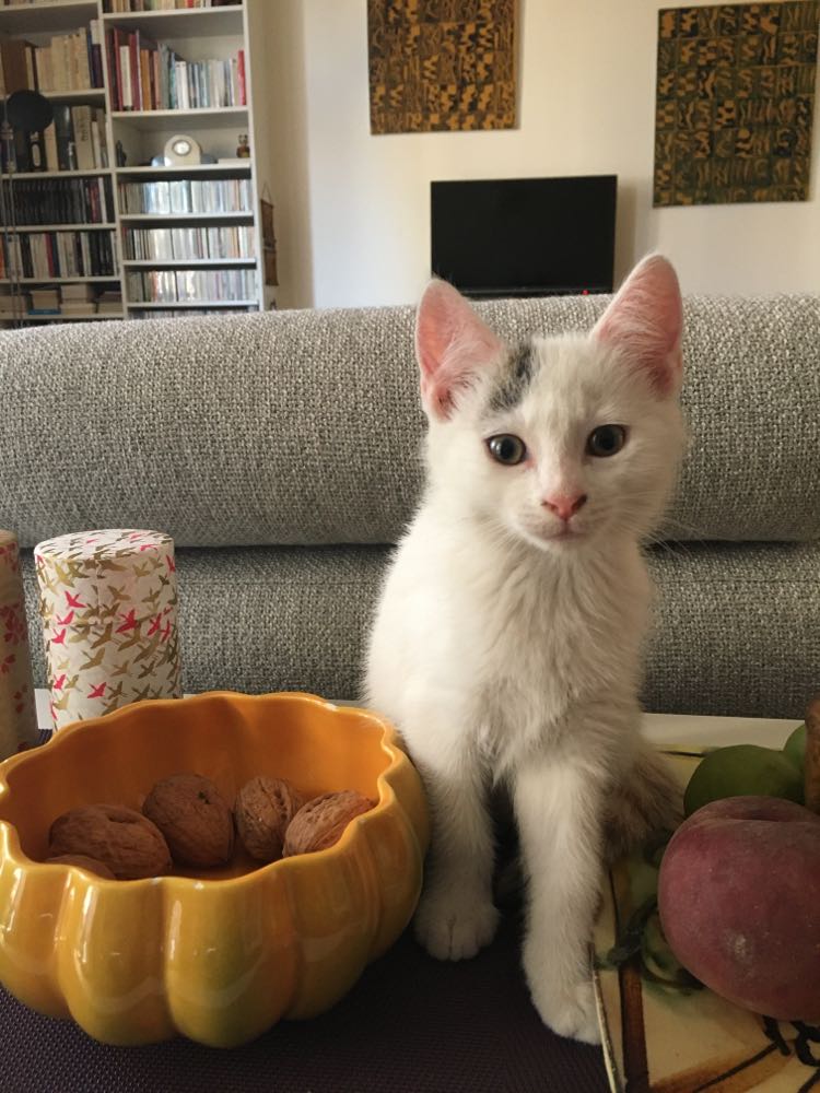 306208803_607218217747051_9220719261170533481_n